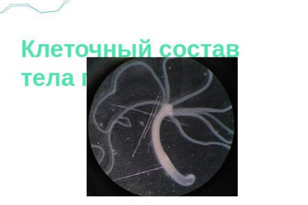 Кракен магазин krakens13 at