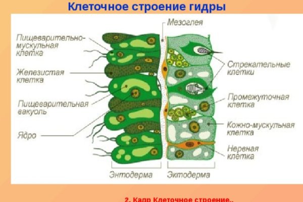 Не зачисляются деньги на кракен