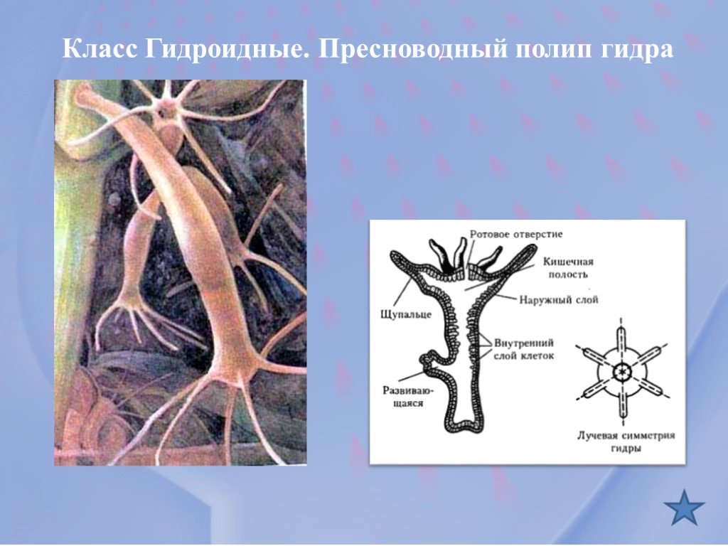 Кракен войти сегодня